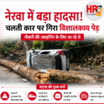 hp24 news
