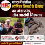 hp24 news