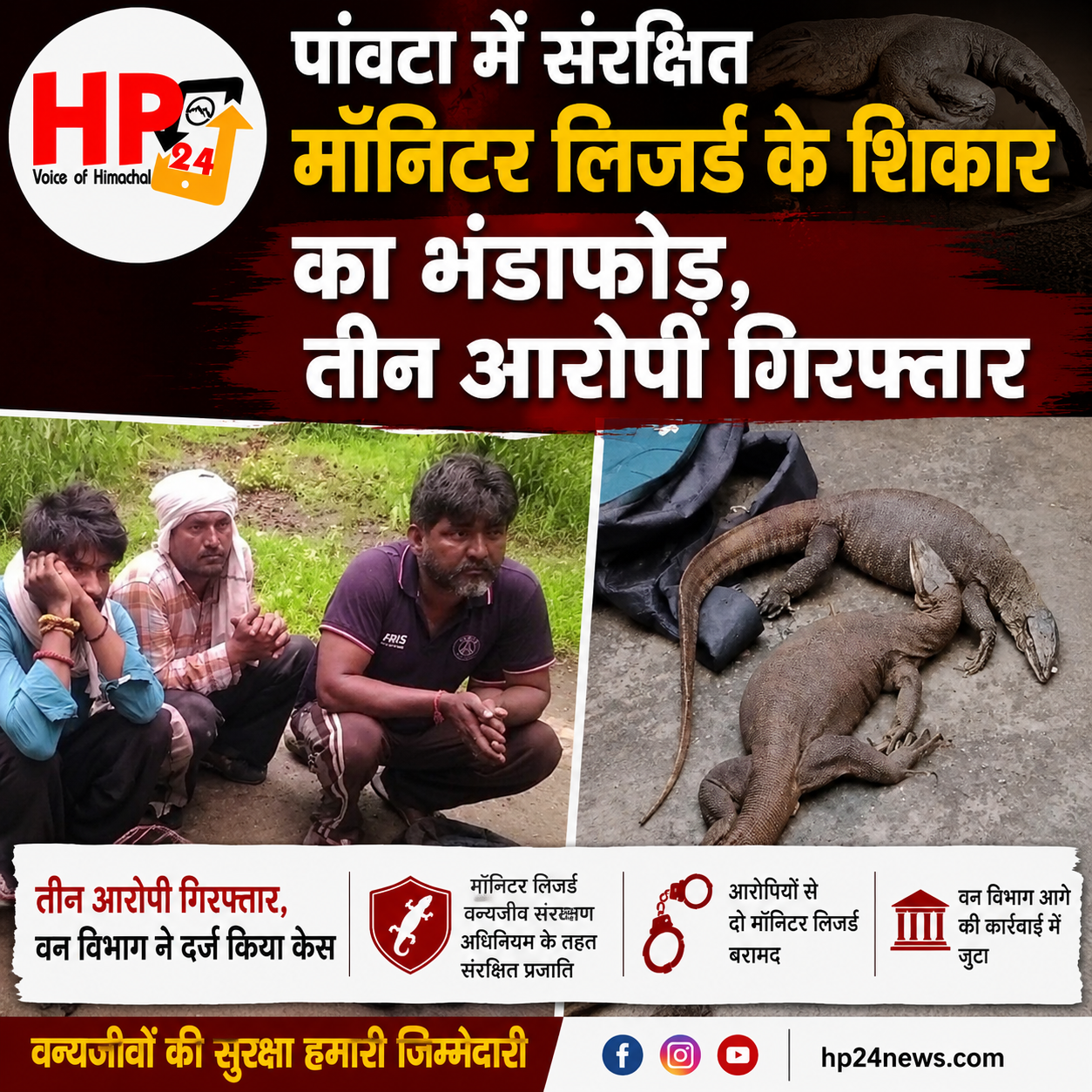 hp24 news