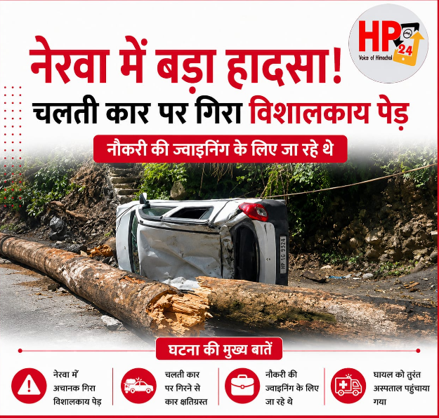 hp24 news