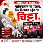 hp24news