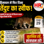 hp24newss