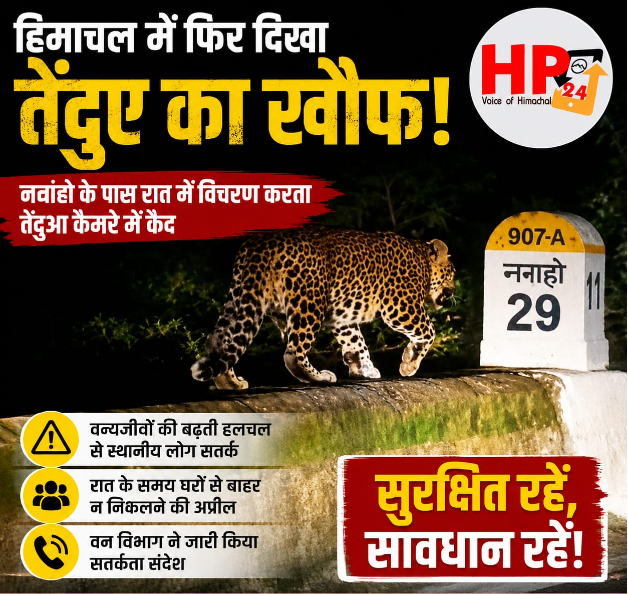 hp24newss